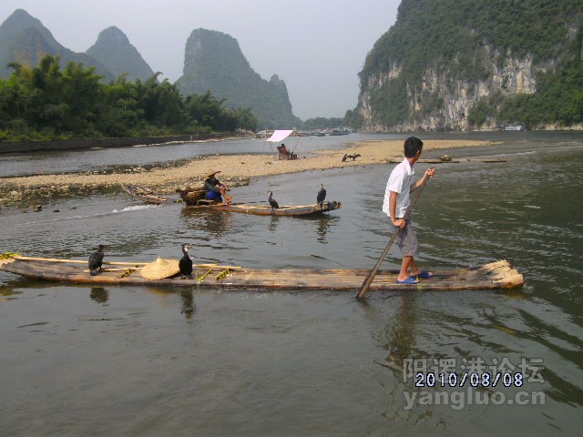 还有没有人和我的鱼鹰合影？我走了