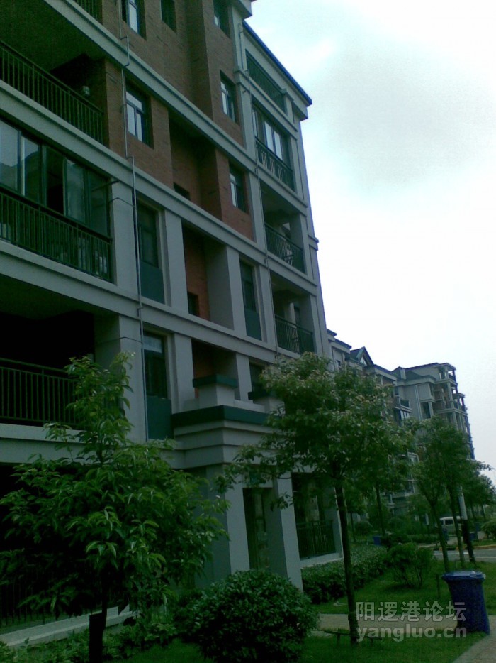 20100727.jpg