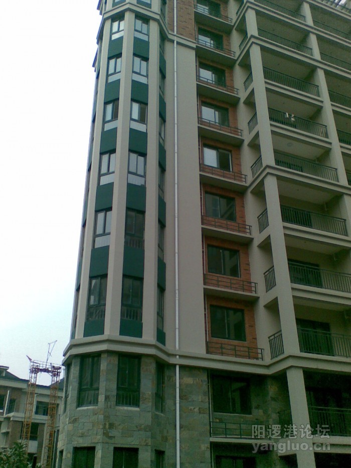 20100727_001.jpg