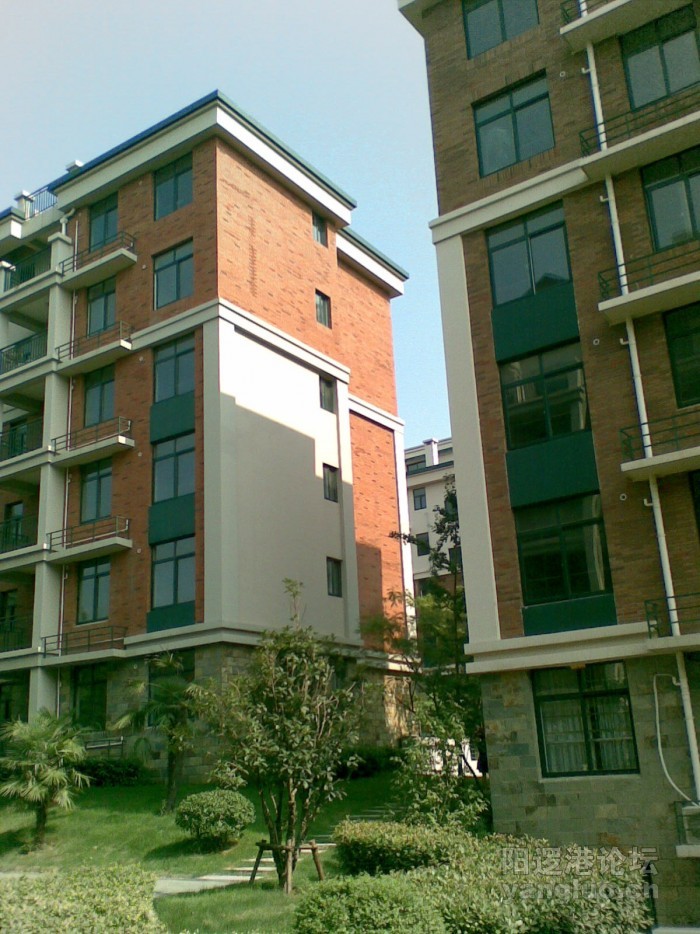 20100813_001.jpg