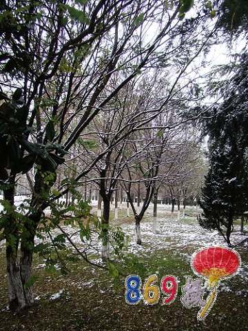 10雪景 (10).JPG