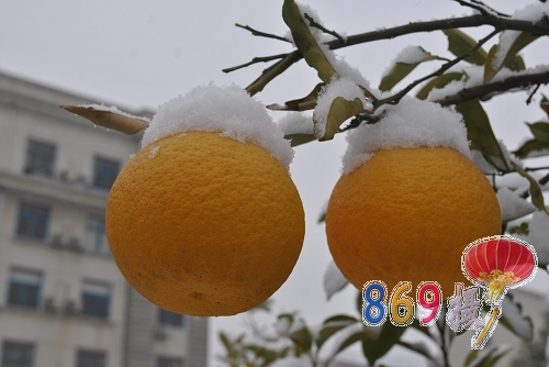 11年雪33.JPG