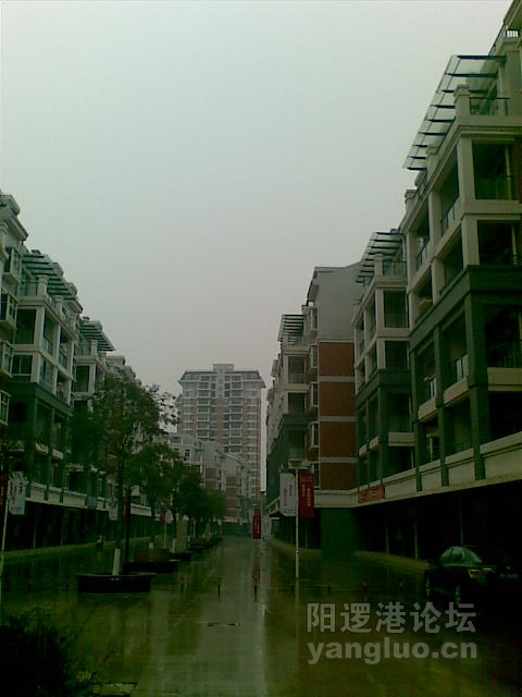 20111206_014.jpg