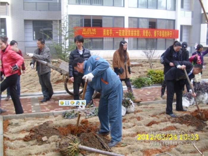 大家也都行动起来了