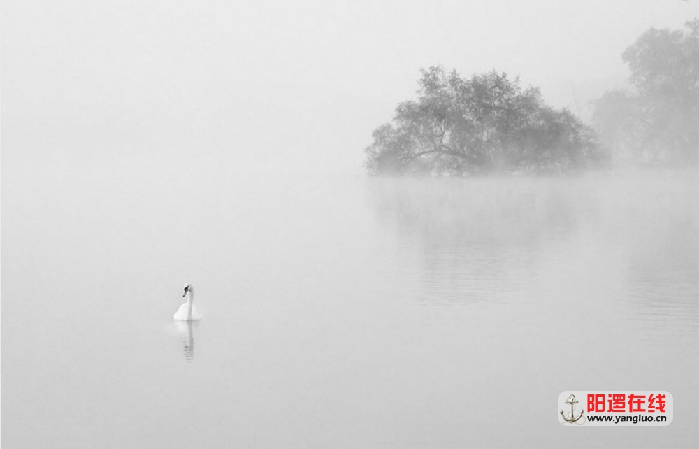 雾景2.jpg