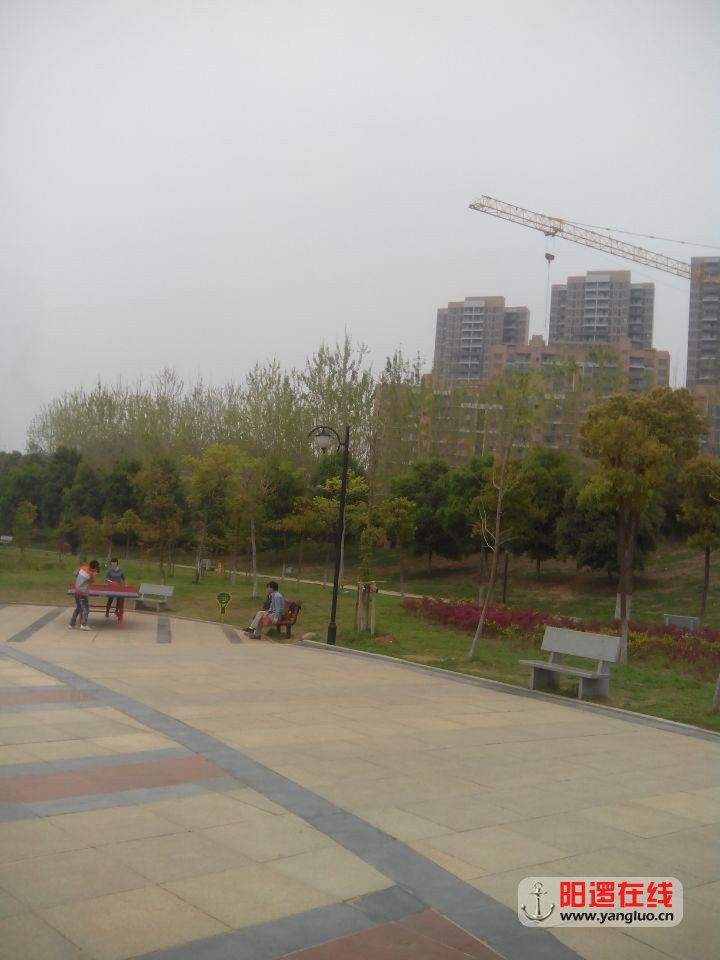 QQ图片20140410212605.jpg