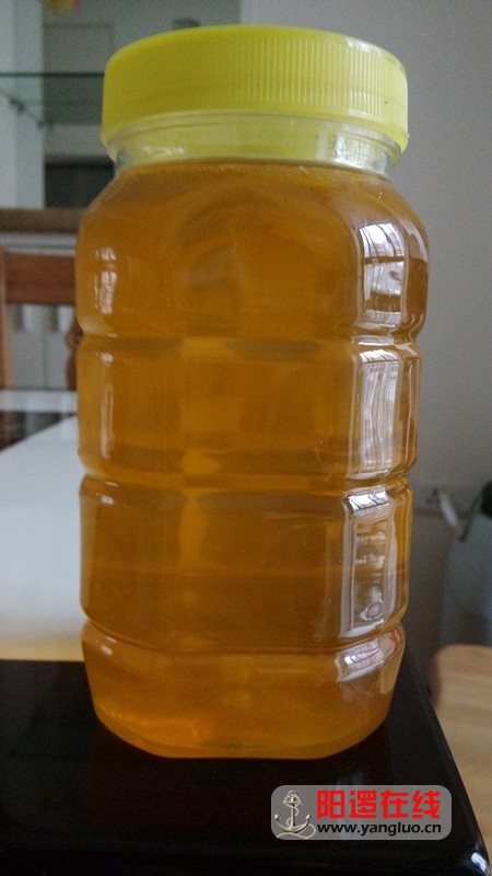 枣蜜1kg