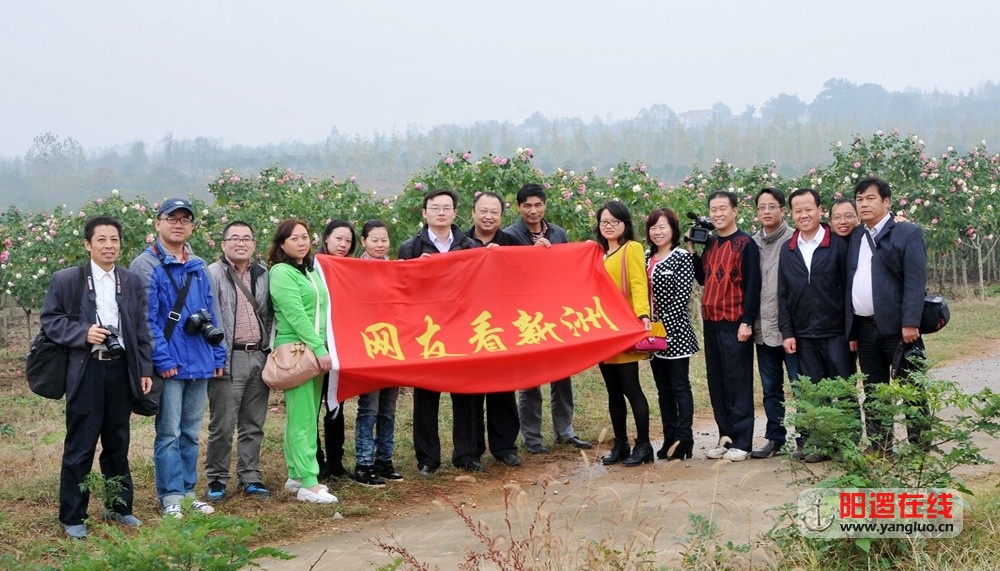 网友在潘塘罗杨村木芙蓉园合影，花开正盛。影隐摄影.jpg