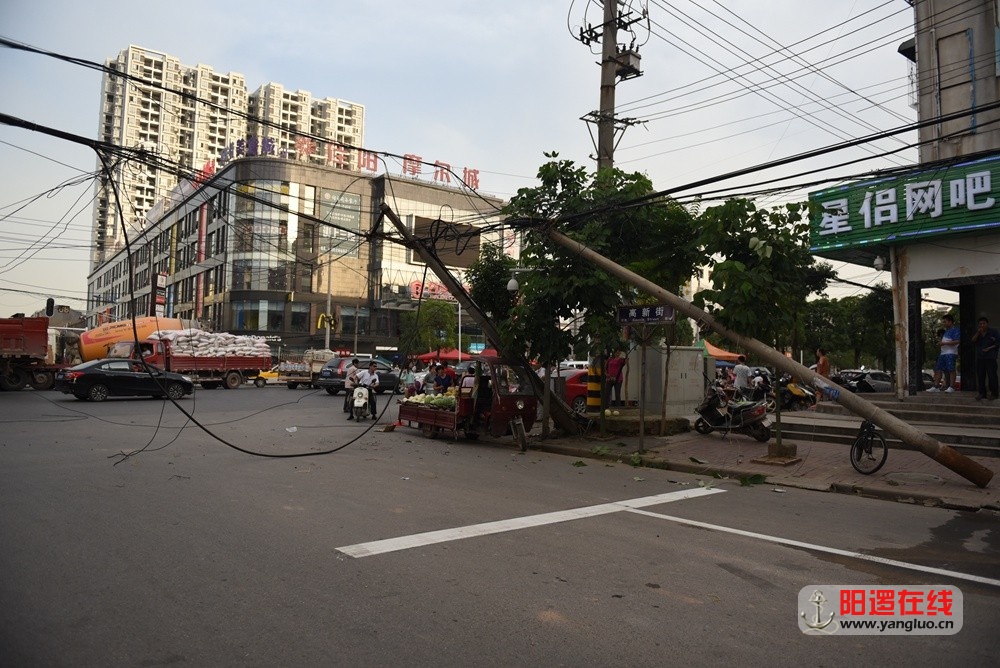 满江红路口的2根电线杆连根拔起.jpg