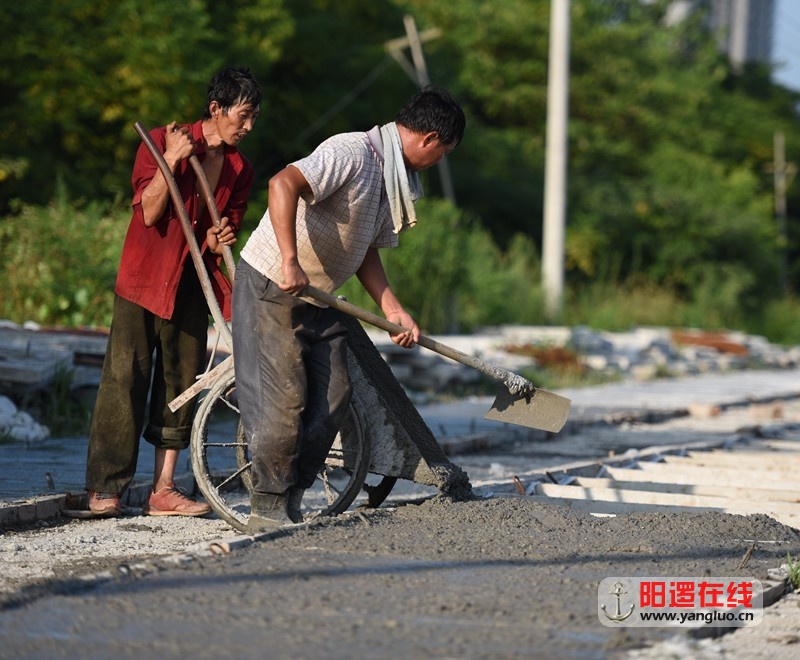 江北快速路柴泊湖大桥工地工人2.jpg