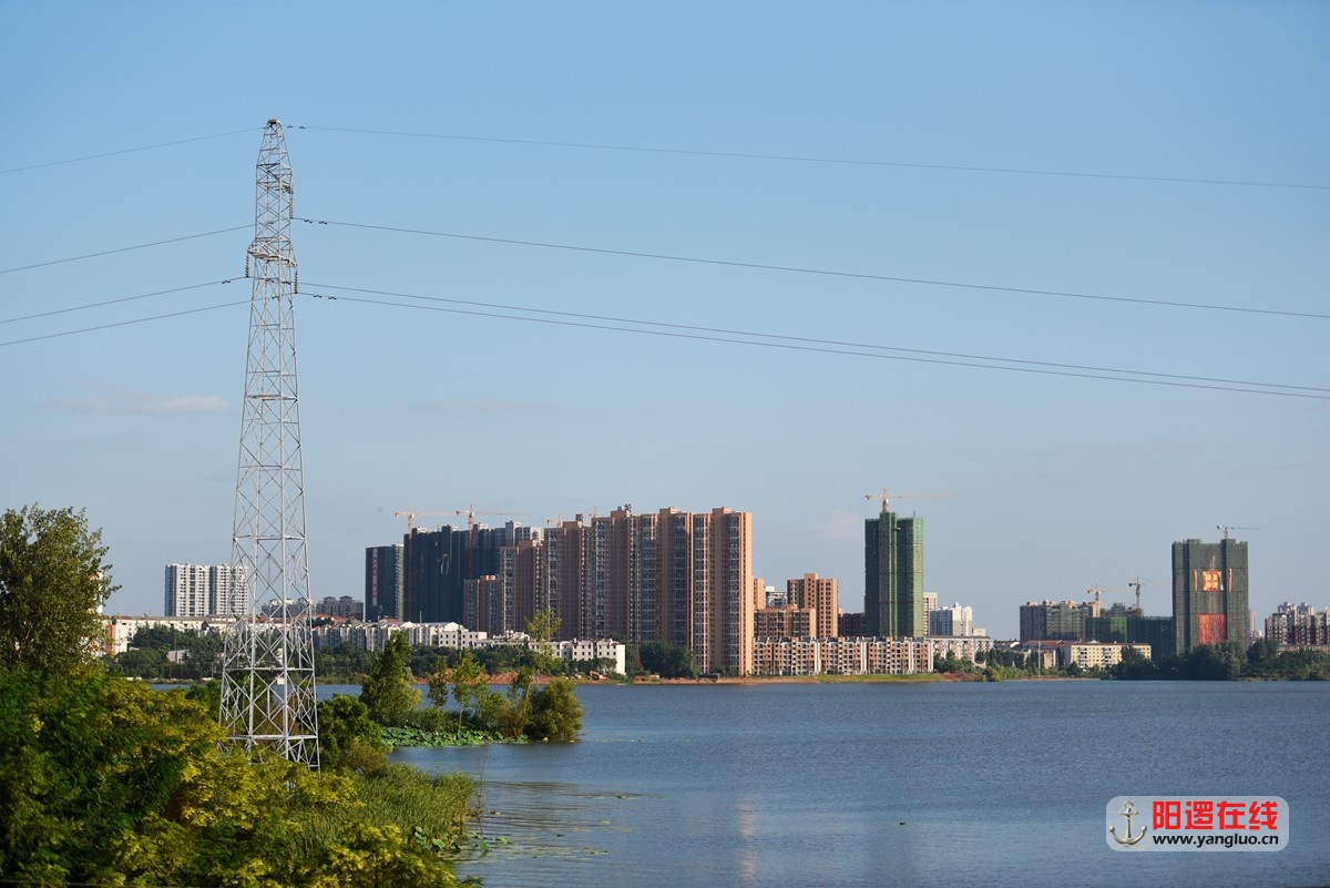 江北快速路柴泊湖大桥.jpg