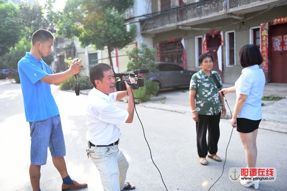 新洲电视台阳逻在线联合报道.jpg