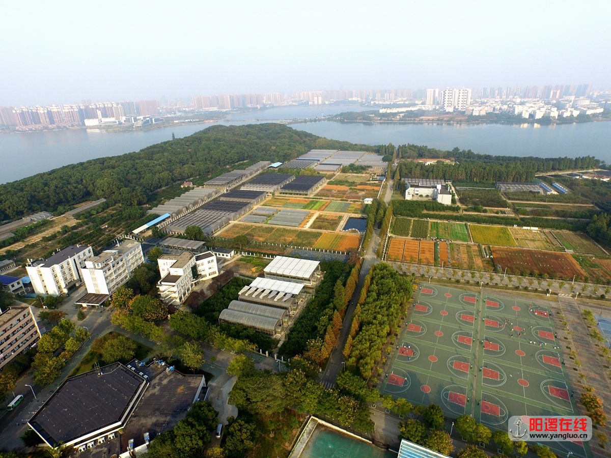 华中农业大学狮子山3.jpg