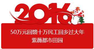 “十万民工回乡过大年”.png