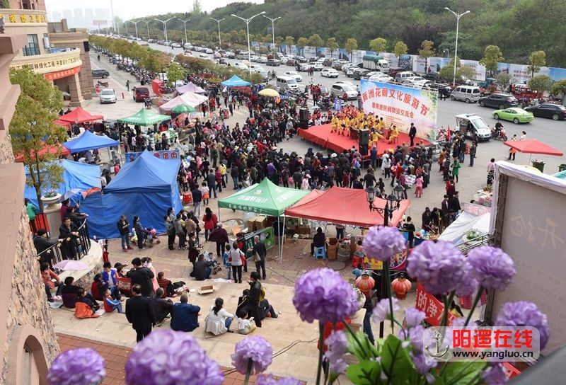 新洲花朝文化旅游节暨阳逻民间物资交流会4.jpg