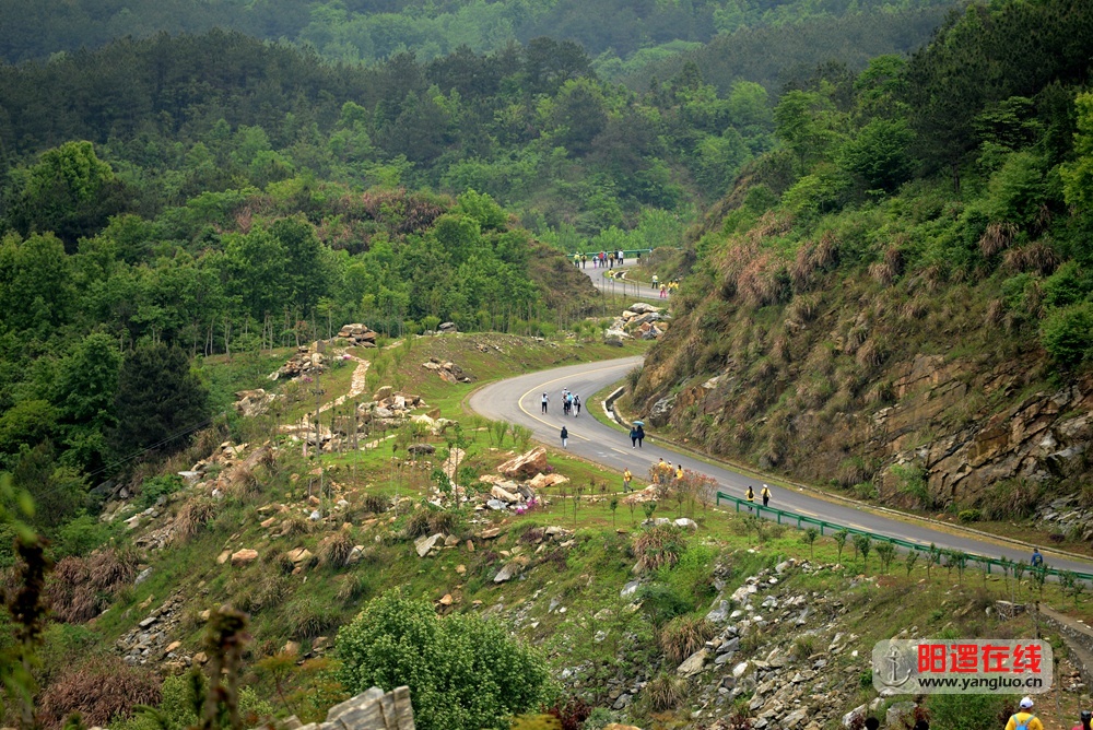 山路弯弯4.jpg