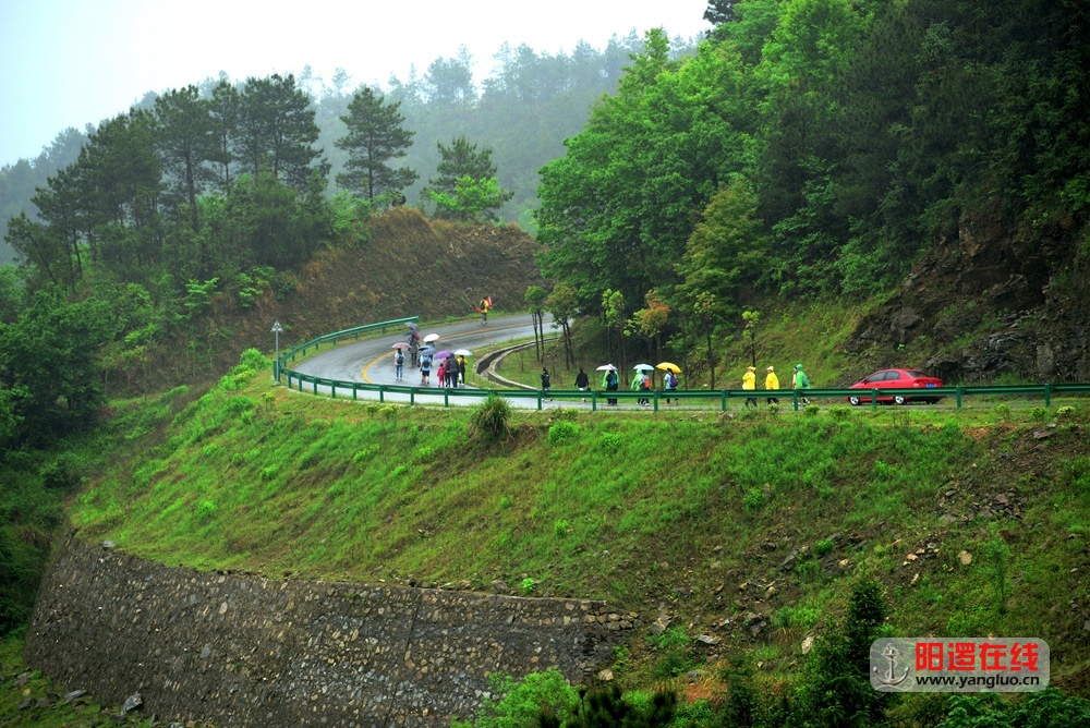 雨中山中行.jpg