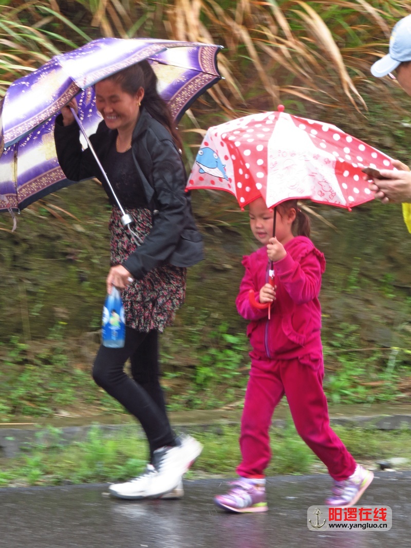 风雨同行  吴新堤.jpg