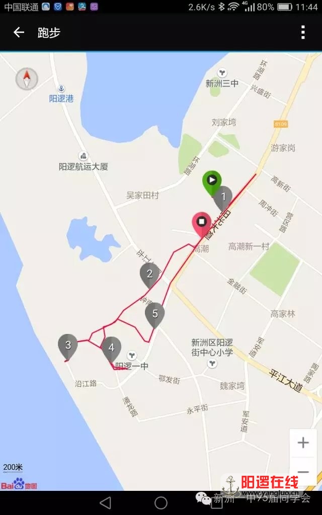 阳逻热门跑步线路4.webp.jpg