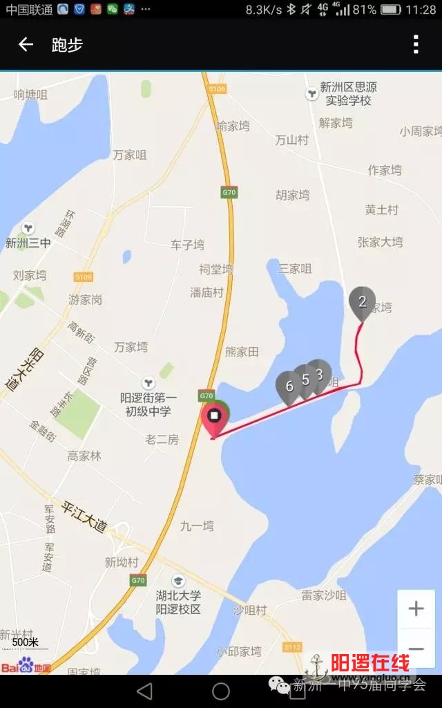 阳逻热门跑步线路3.webp.jpg