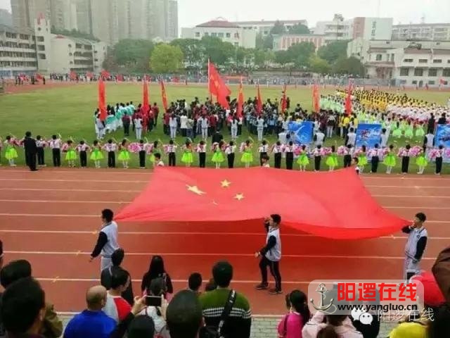 阳逻一小夺新洲中小学运动会团体总分第一名！2.jpg