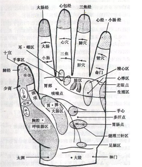 微信截图_20161126115042.png