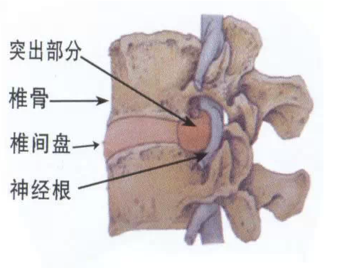 微信截图_20161228083906.png