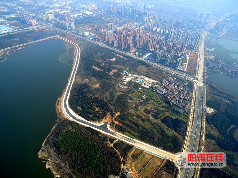 阳逻柴泊湖环湖路5.jpg