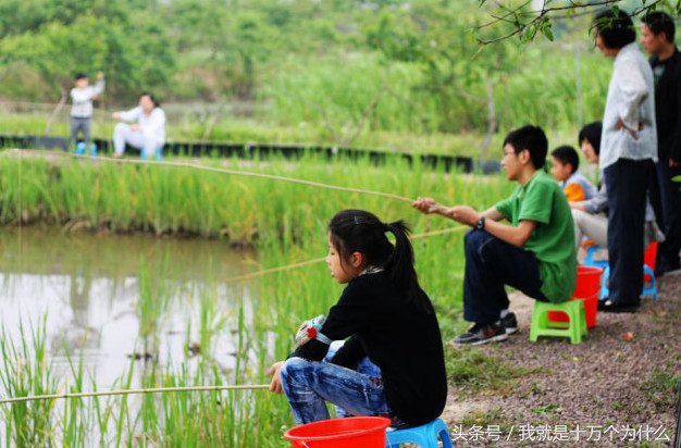 毛婆钓龙虾.jpg