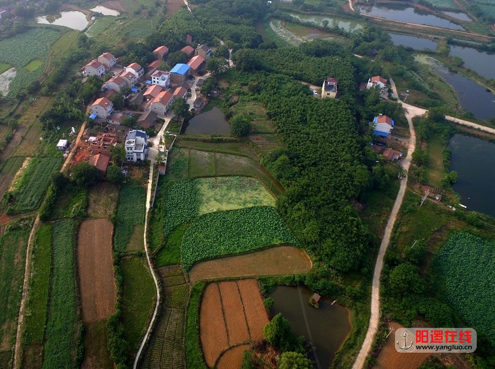 新洲区阳逻街南山村2.jpg