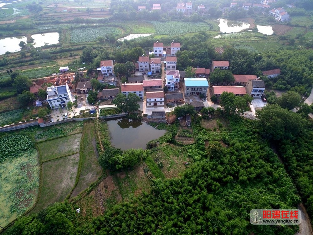 新洲区阳逻街南山村5.jpg