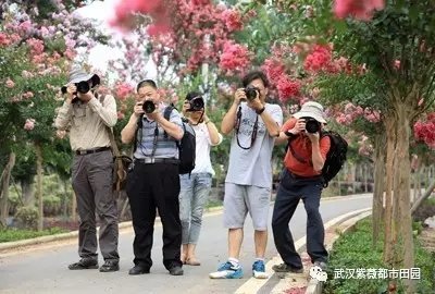 “雾里看花”摄影大赛1.webp.jpg