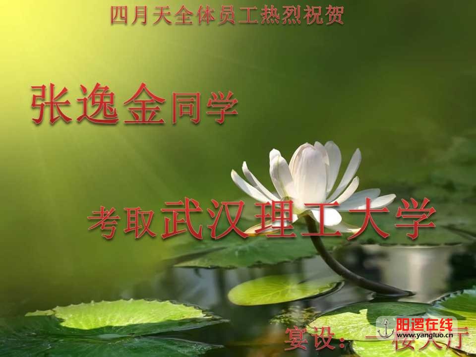 幻灯片9.jpg