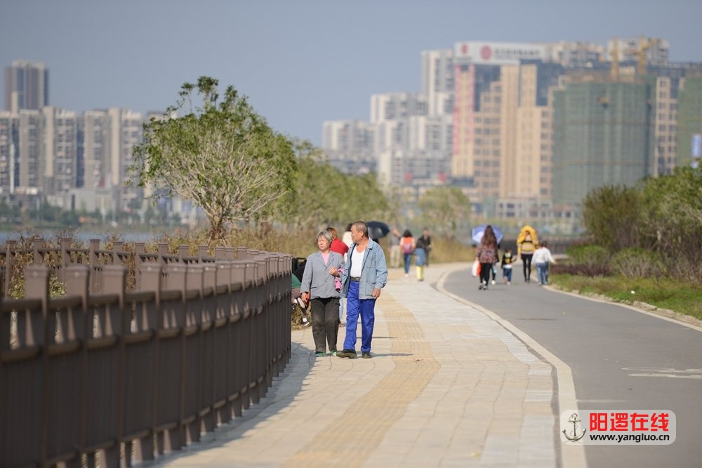 阳逻环湖绿道.jpg