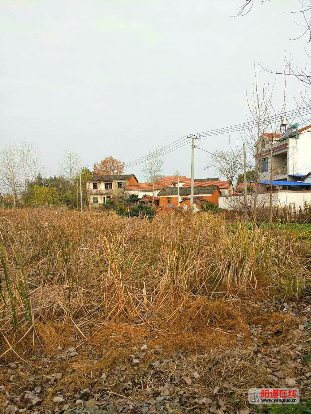 魅力乡村 轭头塆 之冬景7