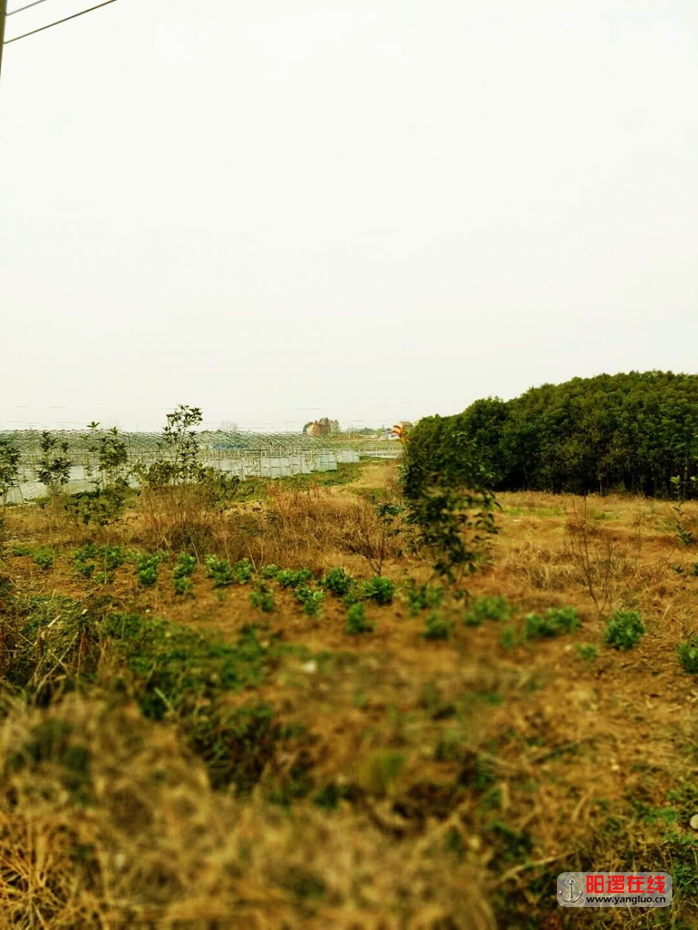 魅力乡村 轭头塆 之冬景11