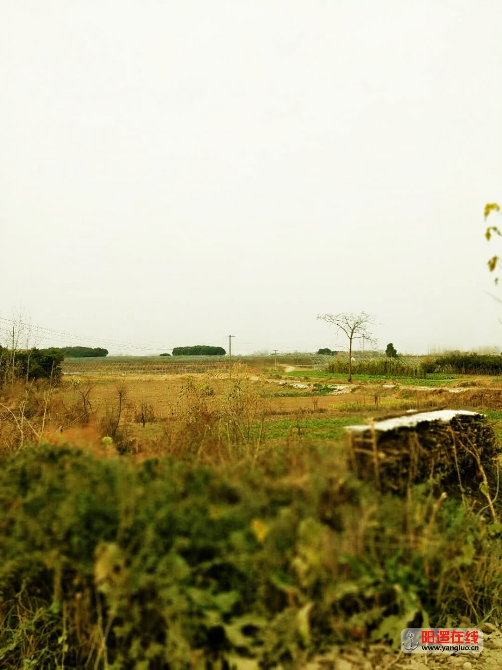 魅力乡村 轭头塆 之冬景13