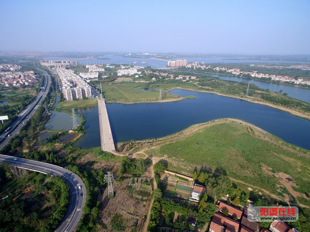 阳逻鄢家湖湿地.jpg