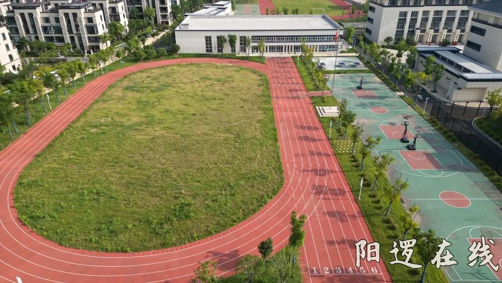 阳逻街中心小学余集校区运动场