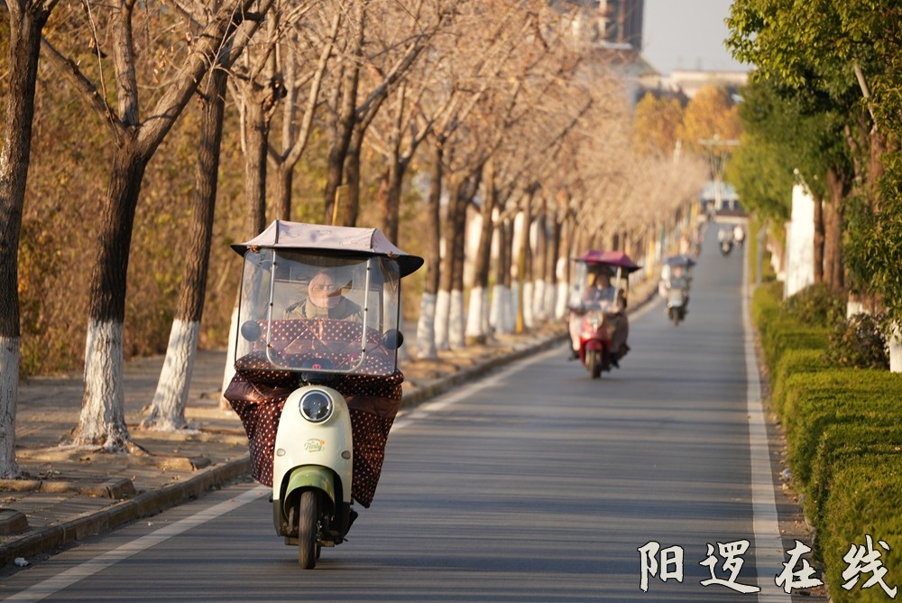 柴泊湖风情大道.jpg