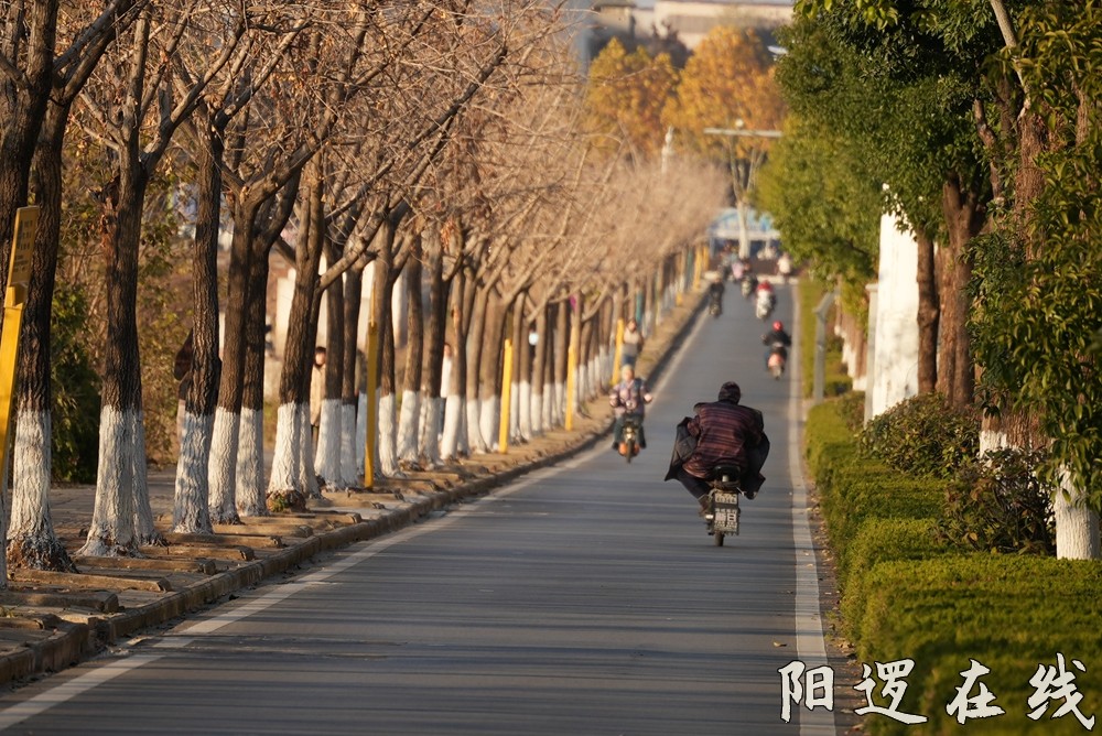 柴泊湖风情大道2.jpg