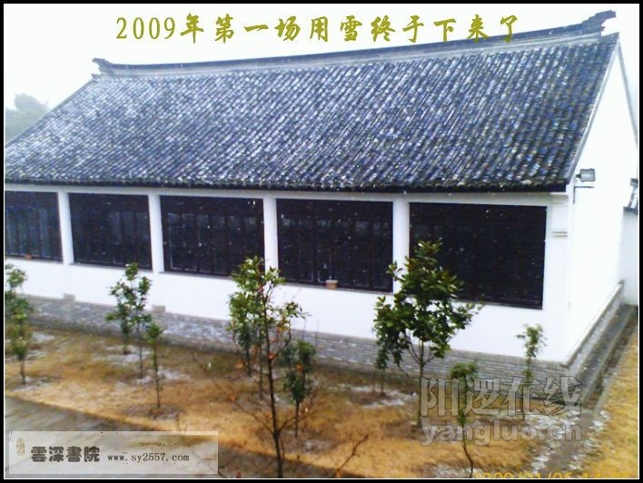 IMAGE_雪1.jpg